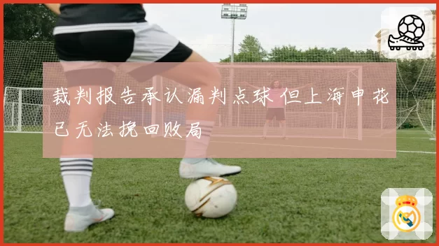 裁判报告承认漏判点球 但上海申花已无法挽回败局