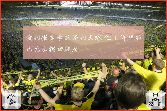裁判报告承认漏判点球 但上海申花已无法挽回败局